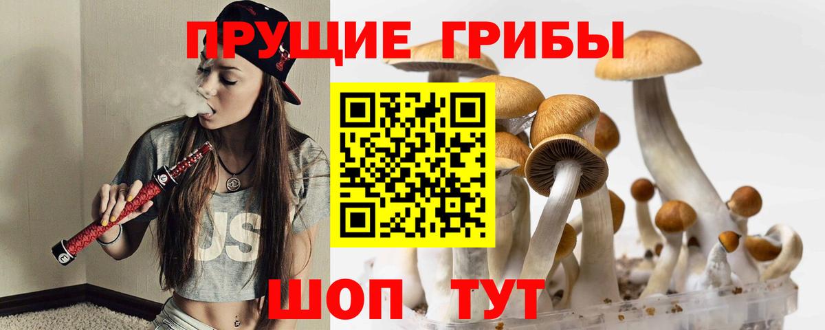 Галлюциногенные грибы мухоморы Карпинск
