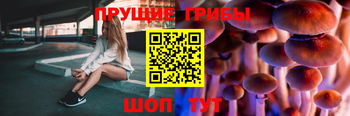 Псилоцибиновые грибы мухоморы  цена наркотик  Карпинск  Вход с VPN 